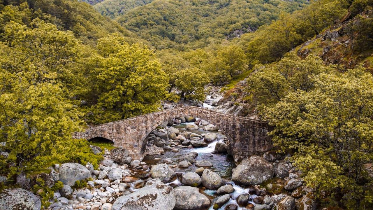 Hostal Los Castanuelos Candeleda Exteriér fotografie